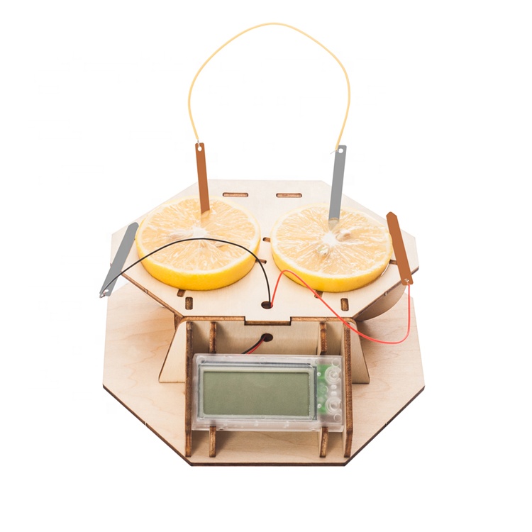 Physics and Chemistry Lesson Use Make DIY Lemon Powered Clock School Kids Science Physics Experiment Kit Diy Science Toys 2024