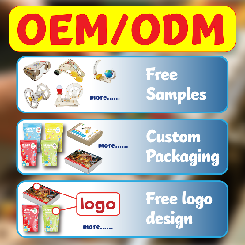 Custom OEM Educational Science Experiment Set Safe EVA Wood Blocks Preschool STEM Toys for Kids L2