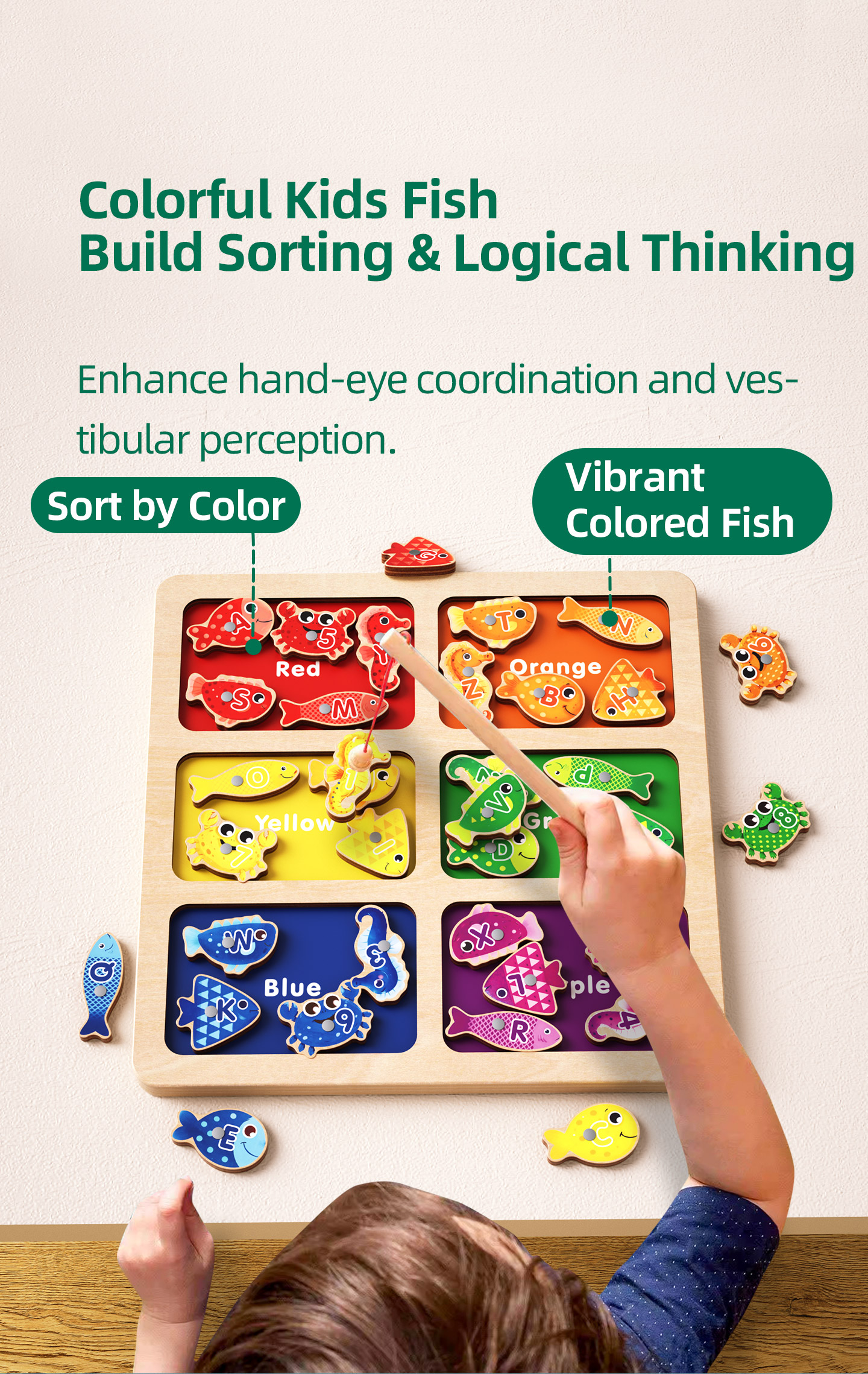 Wooden Montessori Educational Toys Detailed View 6