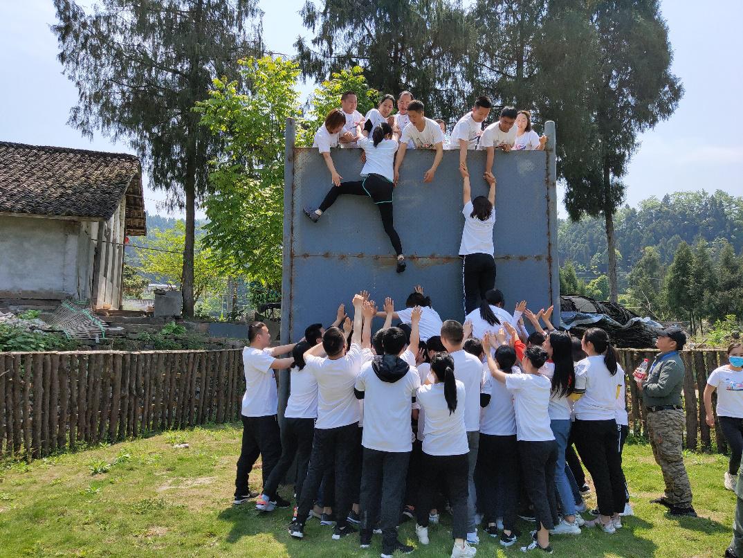 Team 5