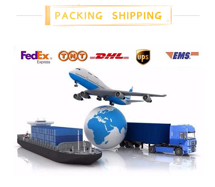 Logistics and Packing