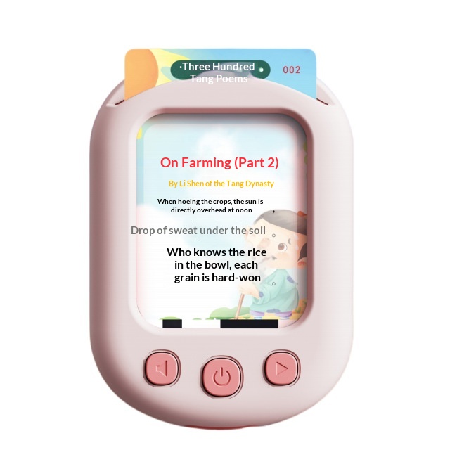 Montessori Language Learning Pocket Speech Therapy Autism Playthings Sensory Educational Talking Flash Cards with 112 Cards