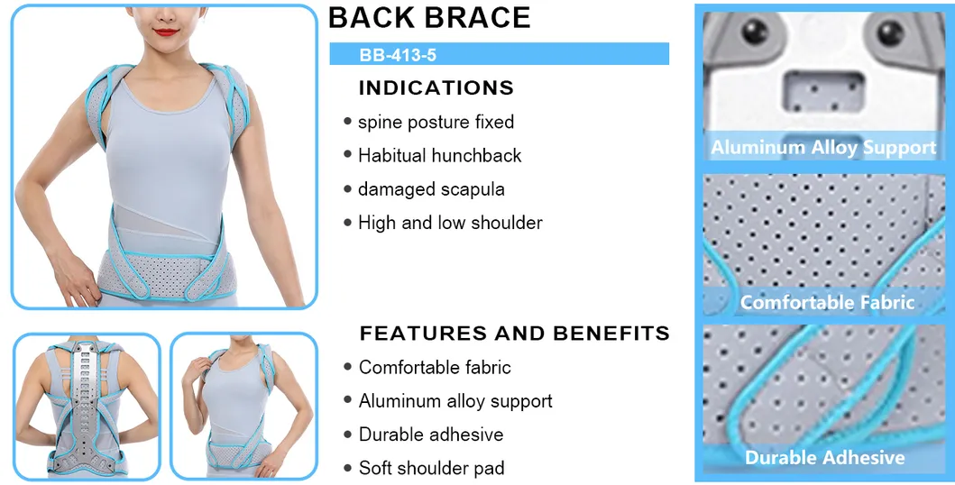 Spine Support Brace