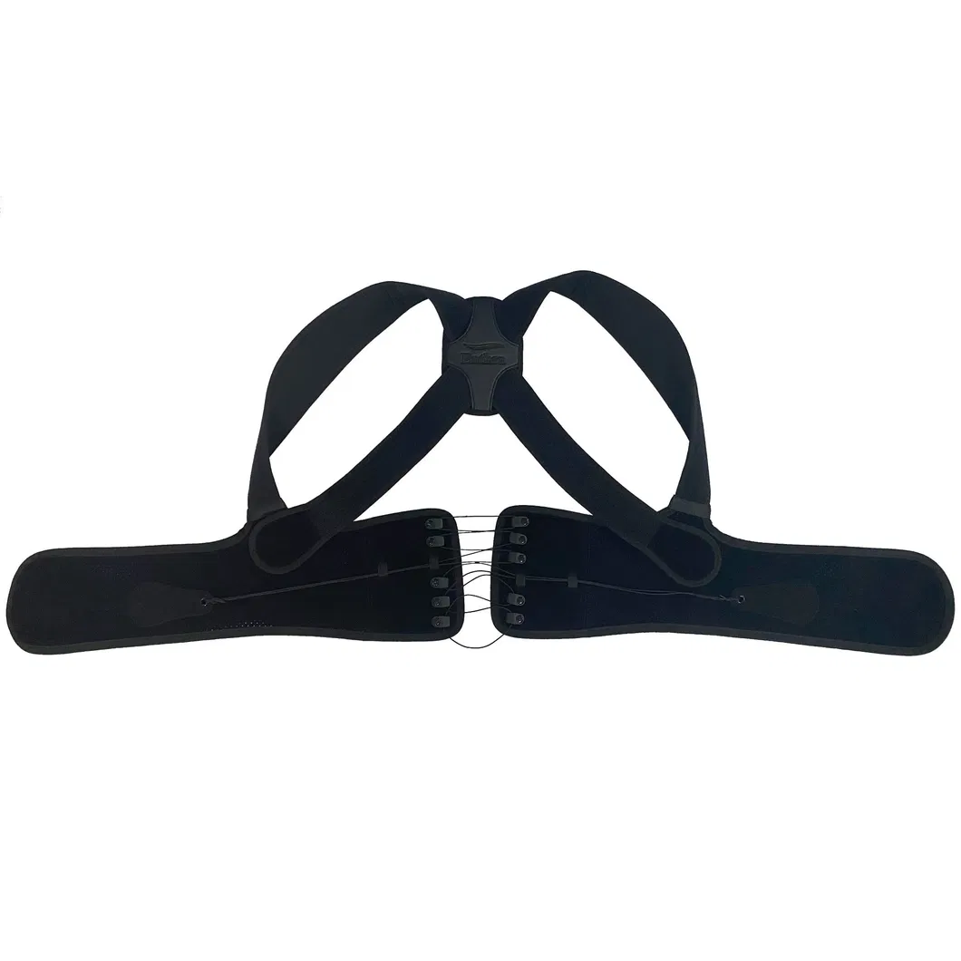 Waist Support Overview