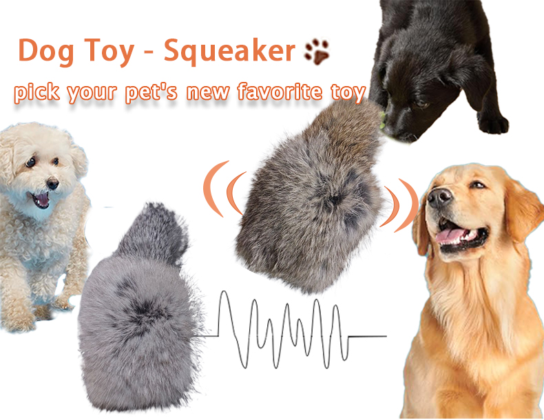 Pet Toy Color 1