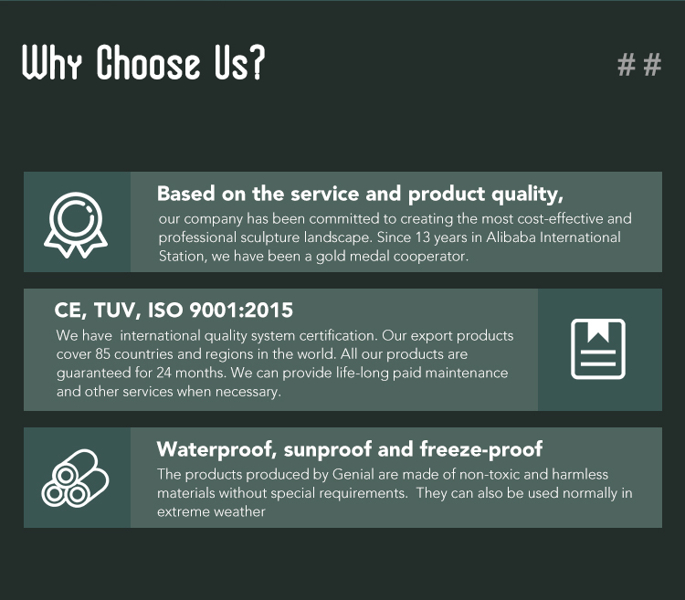 Why Choose Us