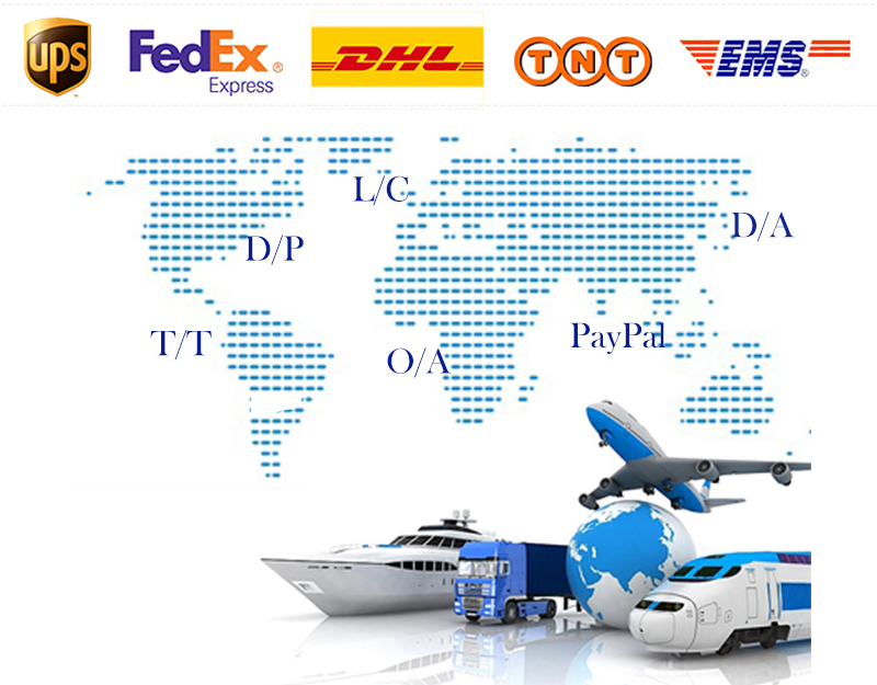 Easy Shipping Support