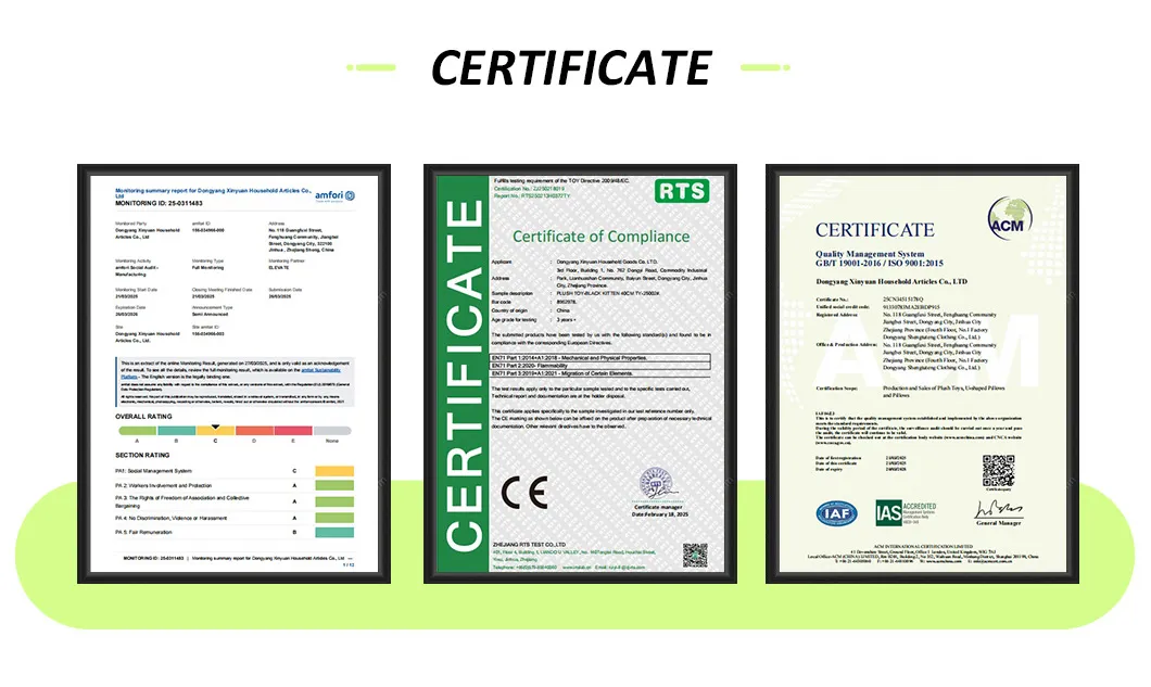 Certification 1
