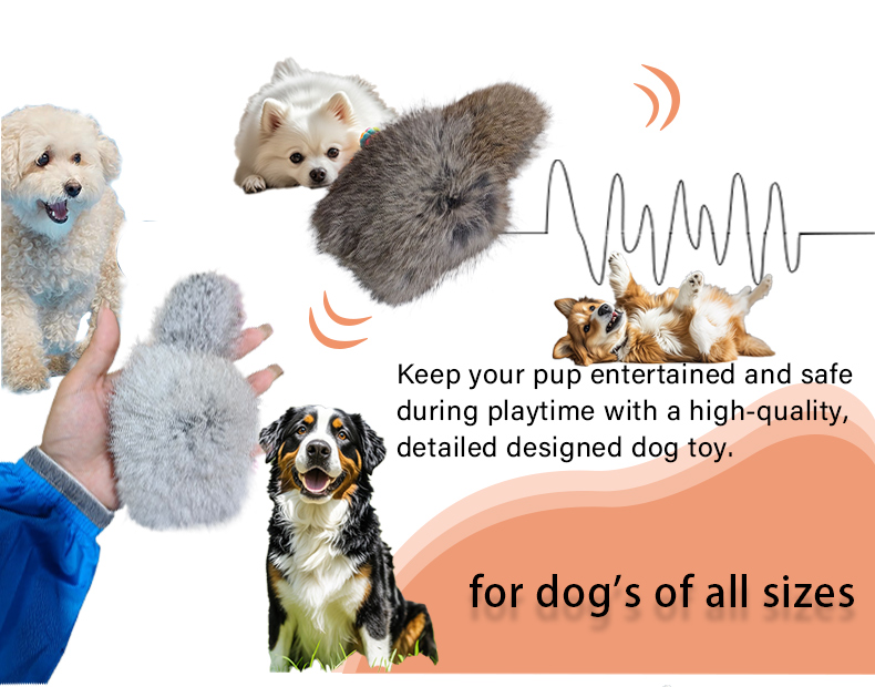 Interactive Pet Toy 1