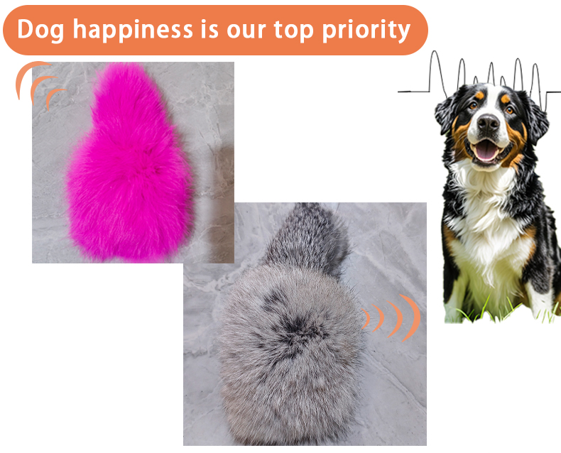 Pet Toy Color 2