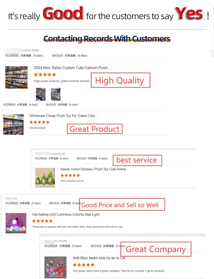 Customer Feedback