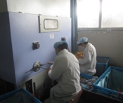 Cotton filled workshop