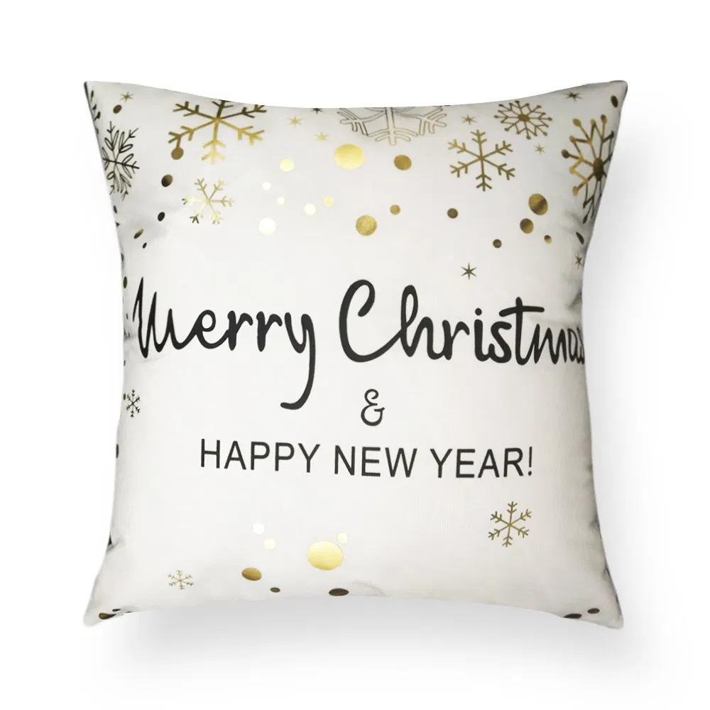 Pillow Detail 1