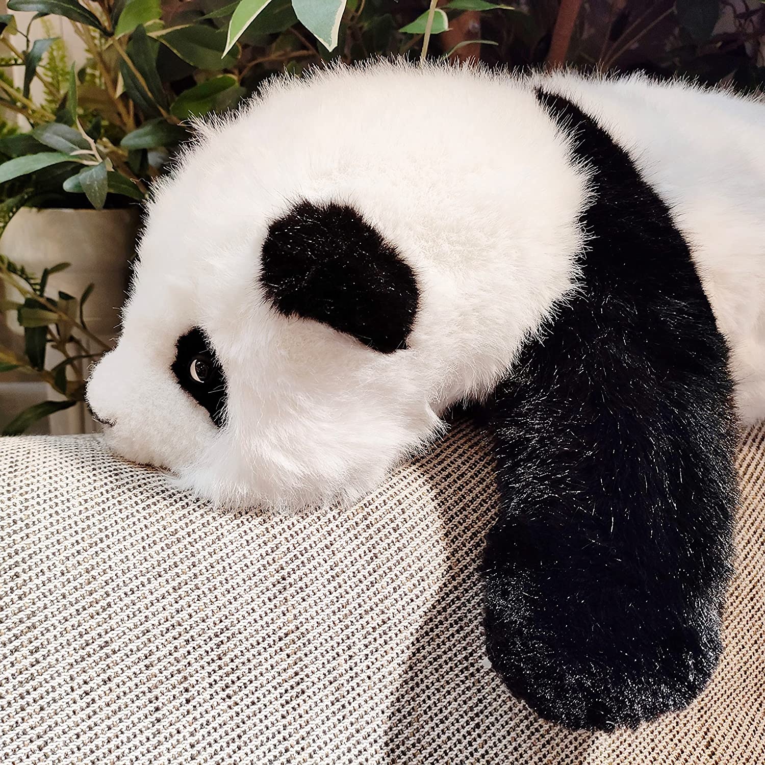 Panda Plush 3