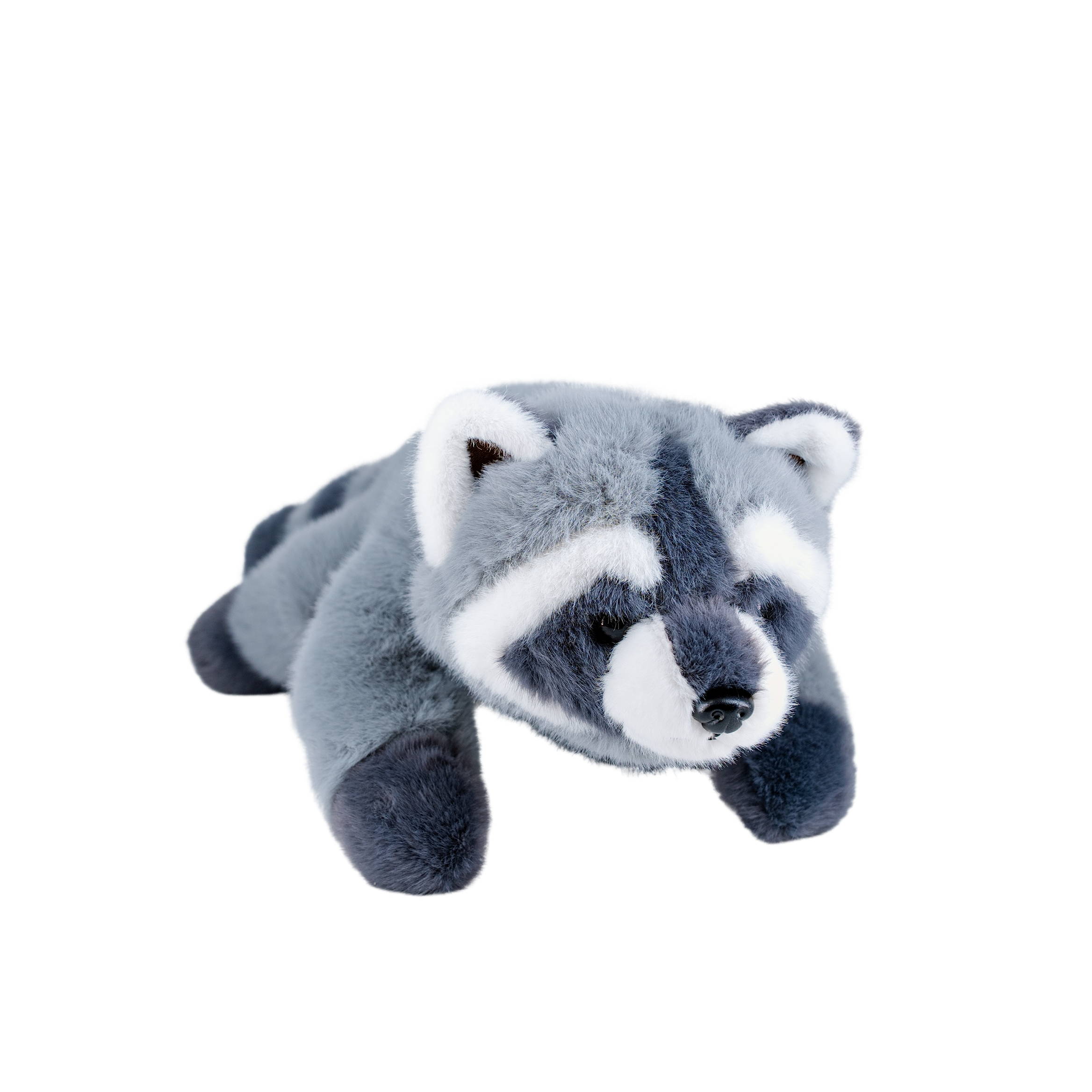 Product Description Image
