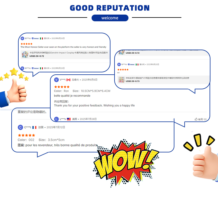 Customer Review