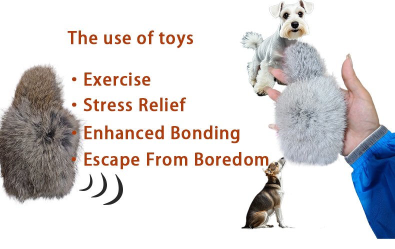 Interactive Pet Toy 2