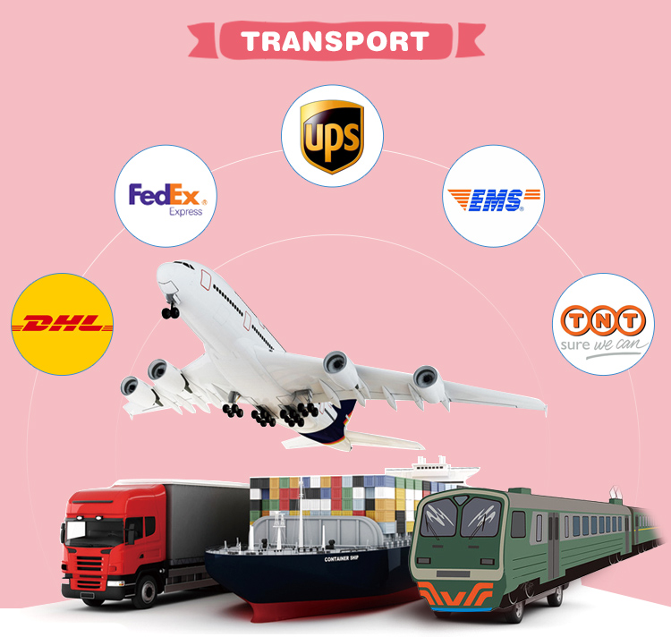 Shipping Logistics Options