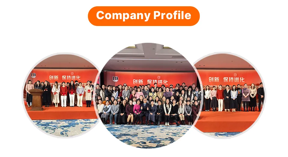 OEM/ODM China Factory Handmade Customized Irregular Shape Plush Custom Logo Shaped Toy Throw Decro Pillow Cushion