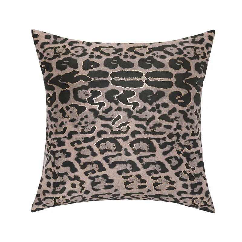 Pillow Cover 5