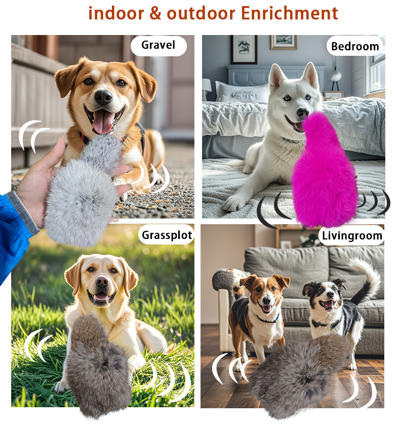 Interactive Pet Toy 3