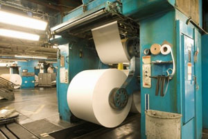 Paper Pulp Fiber Processing