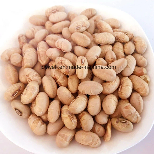 Snacks de Feijão Amarelo Crocante e Salgado Preço Barato à Venda