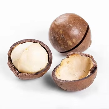 Melhores Nozes de Macadâmia Torradas Sabor Original Nozes de Macadâmia Baratas à Venda
