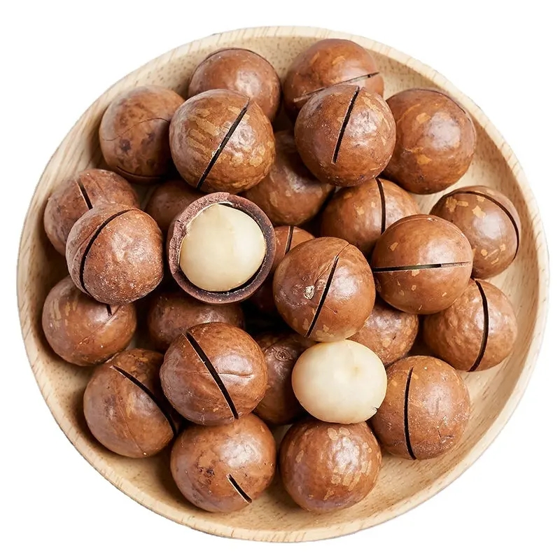 100% Tamanho das Nozes de Macadâmia 22mm - 25mm Crocante Delicioso Origem China