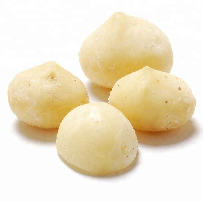 Preço de Atacado Melhor Venda Fornecimento de Fábrica Melhor Qualidade Nozes de Macadâmia Sem Casca