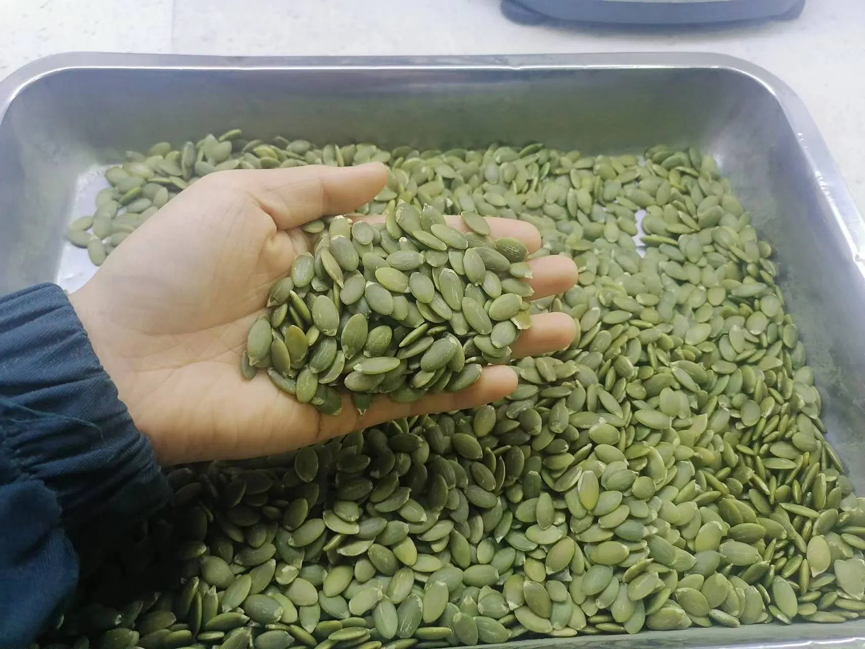 Semente de Abóbora Seca para Lanche