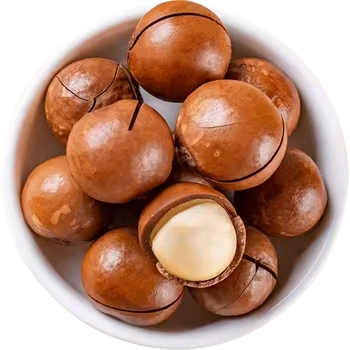 Melhores Nozes de Macadâmia Torradas Sabor Original Nozes de Macadâmia Baratas à Venda