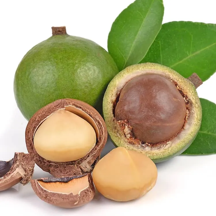 Macadâmia com Casca