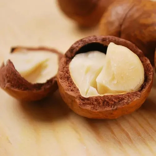 100% Tamanho das Nozes de Macadâmia 22mm - 25mm Crocante Delicioso Origem China