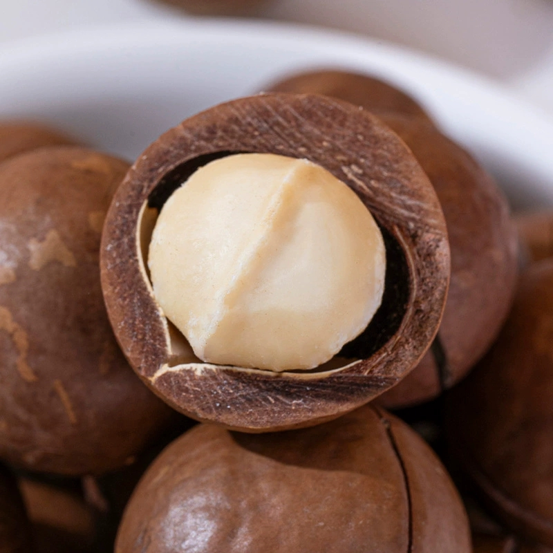 Melhor Preço Lanches Saudáveis Alimentos Nozes com Casca Nozes de Macadâmia