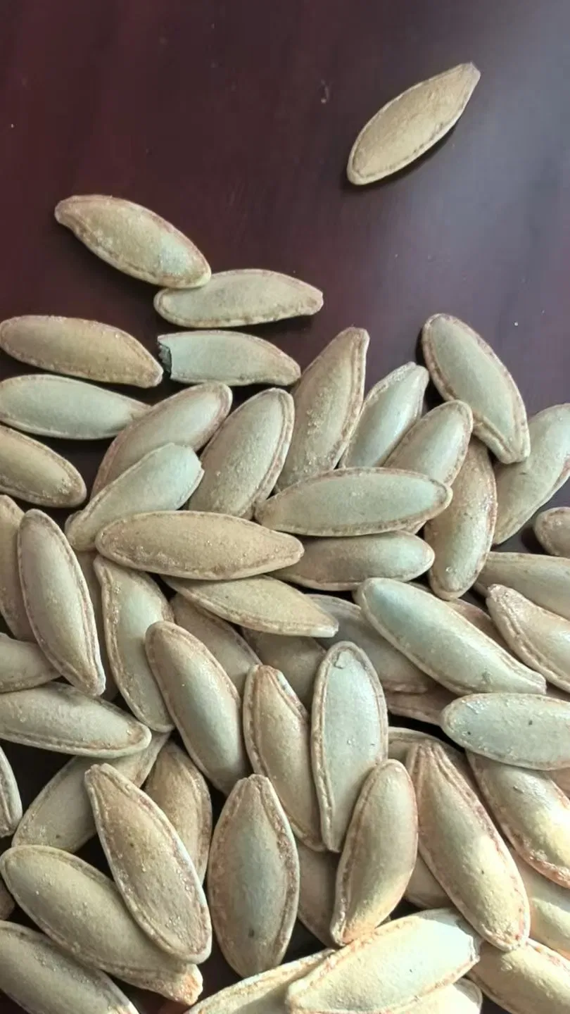 Sementes de Abóbora Torradas e Salgadas com Casca, Lanche Natural e Saudável