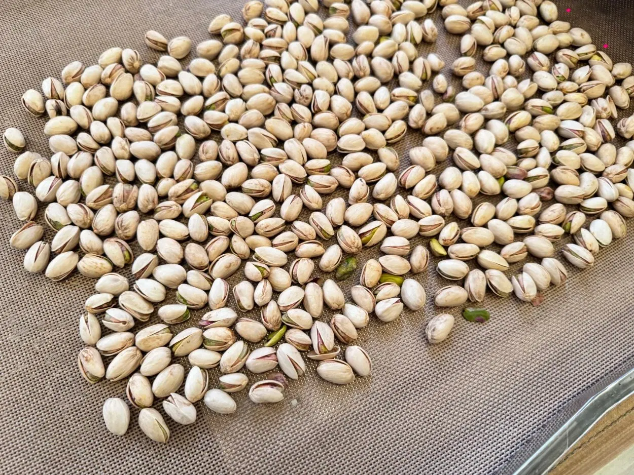 High Quality Grade Pistachios in Shell From China