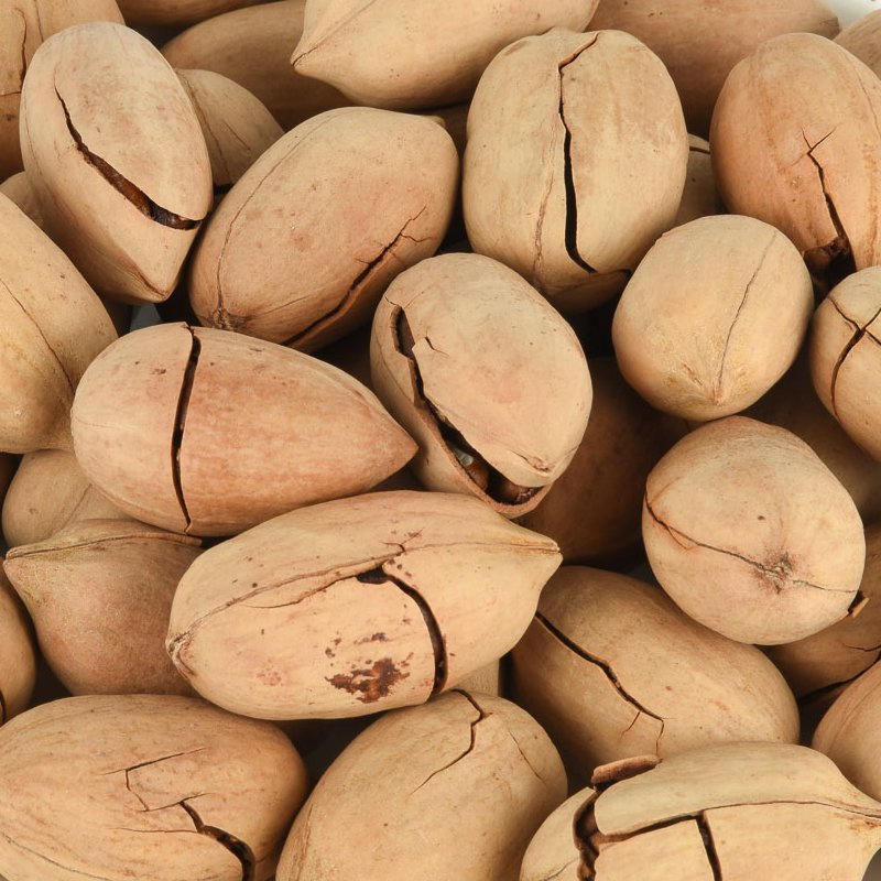 Indústria de Alimentos por Atacado Grau Saúde Lanches de Nozes Pecan