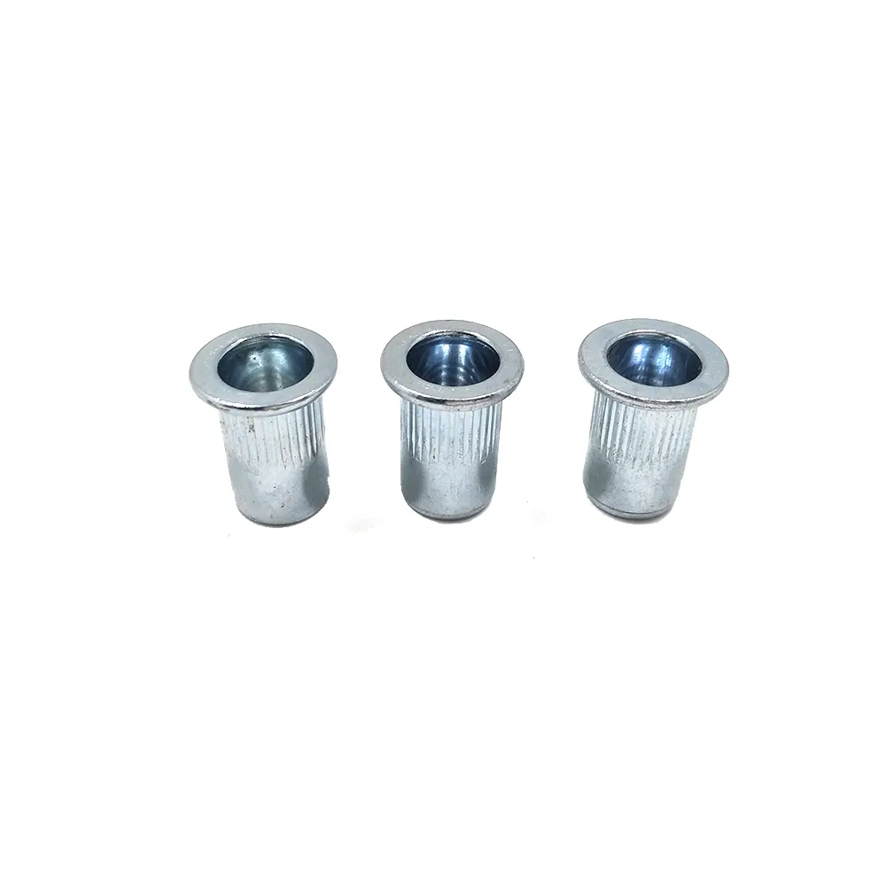 Melhores Vendas para Indústria Porcas Rivet Tipo Knurling Cabeça Plana de Macadâmia