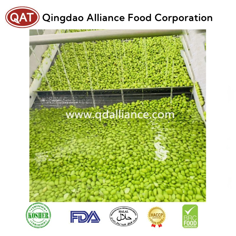 Grãos de Soja Edamame Orgânicos - Opção de Lanche Congelado Saudável