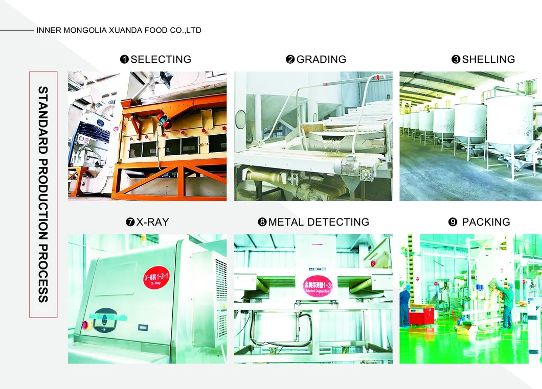 Equipamentos de Produção
