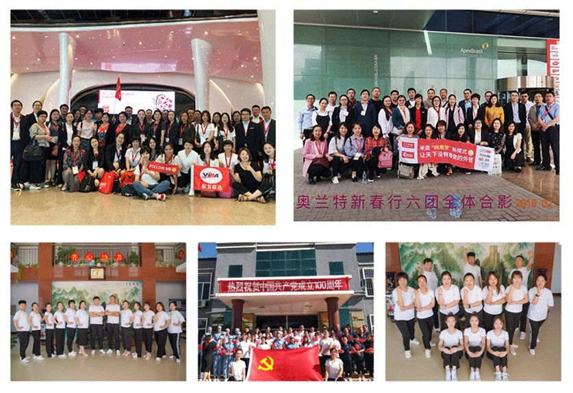 Novos Produtos Lanches e Nozes Inner Mongolia Sementes de Abóbora Não OGM