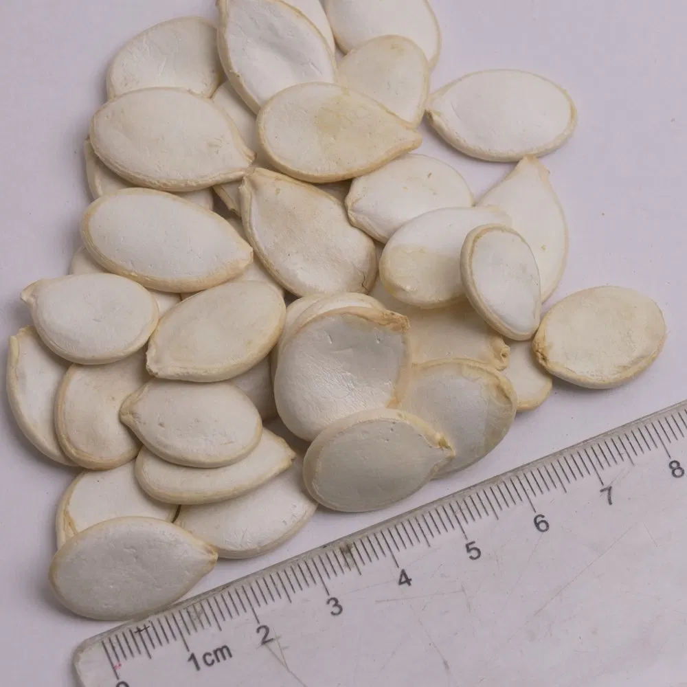 Fornecimento de Fábrica Fruta Seca Crua Snack Orgânico Saudável Sementes de Abóbora Brancas