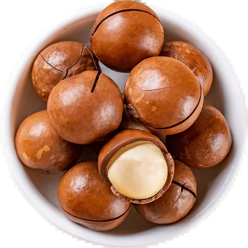 100% Tamanho das Nozes de Macadâmia 22mm - 25mm Crocante Delicioso Origem China
