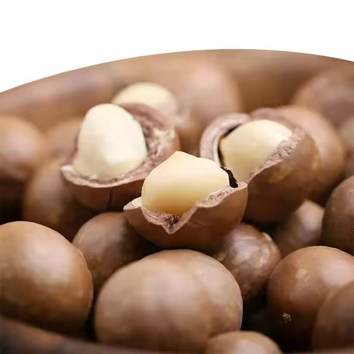 Melhor Preço em Nozes de Macadâmia com Casca Atacado Grau A