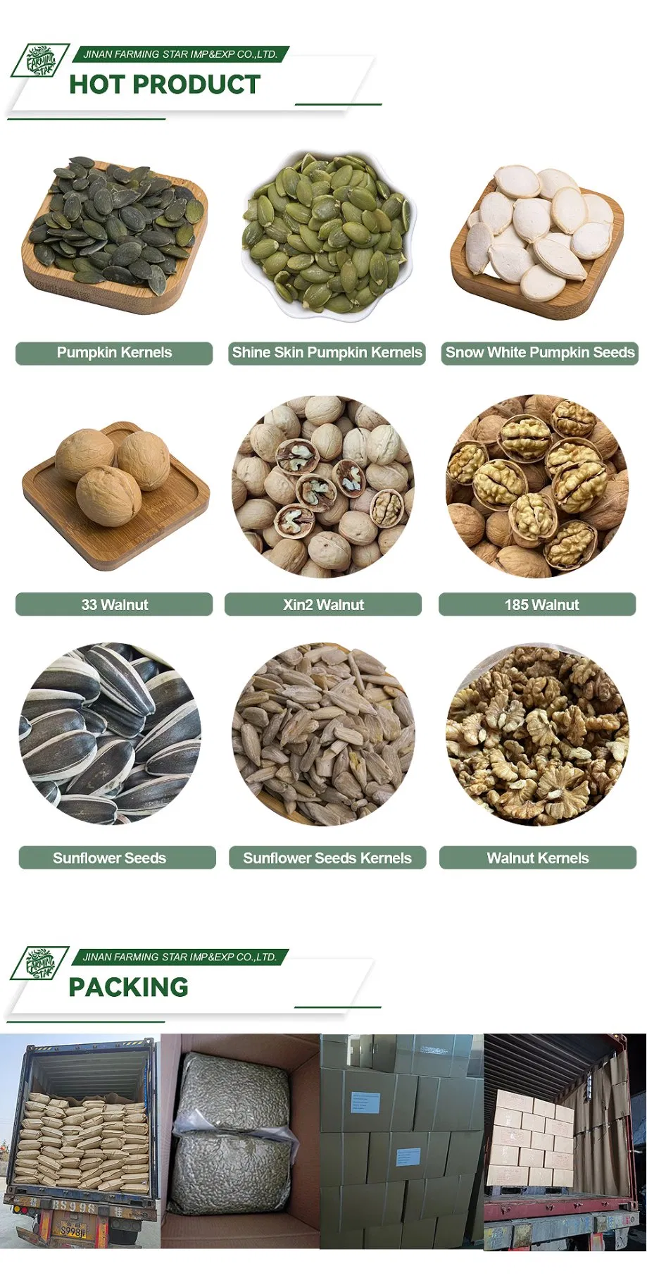 Sementes de Abóbora Brancas Inshell Nutritivas e Premium para Exportação da China