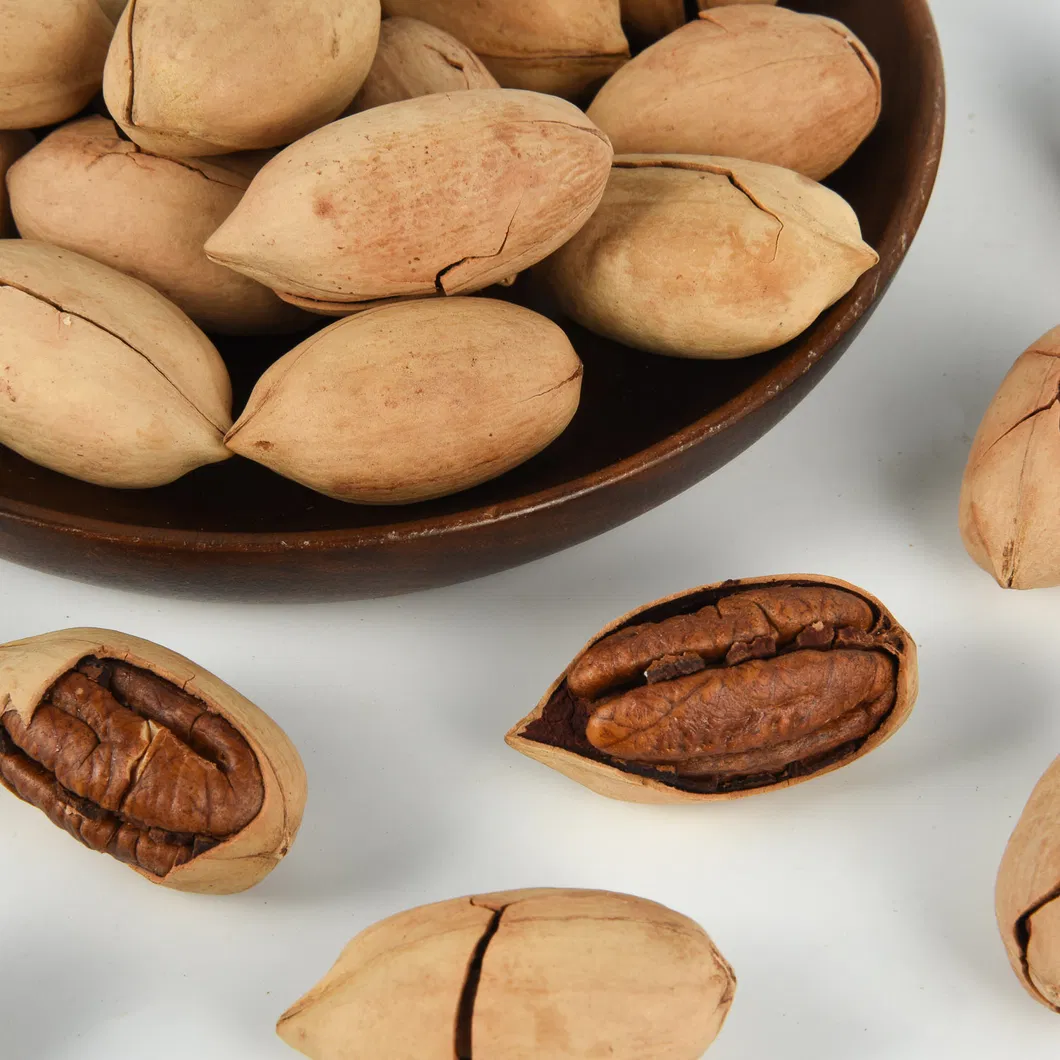Melhores Sabores Saúde Fresco Atacado Snacks em Lote Pecan