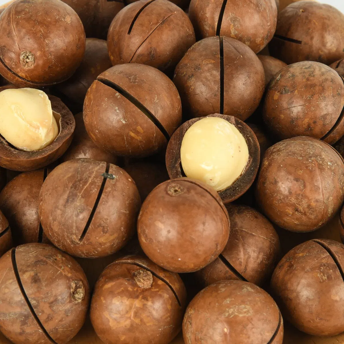Melhores Sabores Snacks Saudáveis de Alta Qualidade Saborizados Compradores Globais com Noz de Macadâmia
