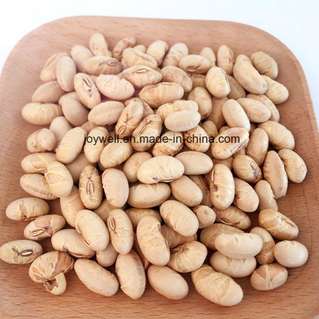 Snacks de Feijão Amarelo Crocante e Salgado Preço Barato à Venda