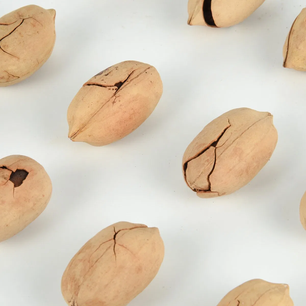 Vendas Quentes Nutritivas e Saudáveis de Alta Qualidade de Nozes Pecan